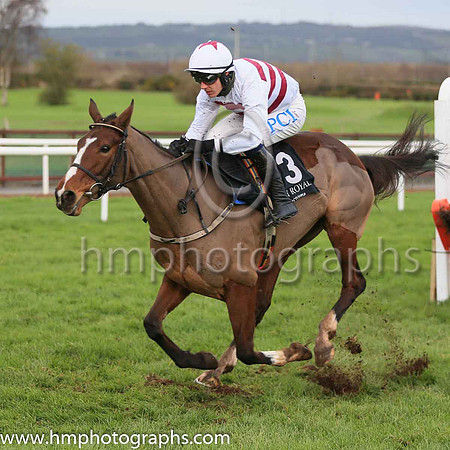 13th Gelee Blanche and P Townend ( 13 , white, brown hoops ) Trainer - W P Mullins , Owner - Tiger Tail Again Syndicate