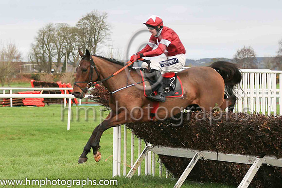 09th Axiomatic and K M Donoghue ( 2 , maroon, white star ) Trainer - G Elliott , Owner - Gigginstown House Stud