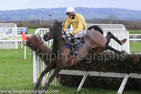 08th Walk To Freedom and Mr N J Redmond ( 7 , yellow, white cap ) Trainer - Mrs J Harrington , Owner - Whole of the Moone Syndicate