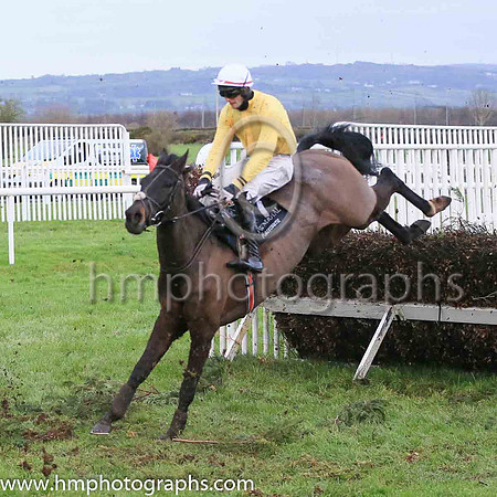 08th Walk To Freedom and Mr N J Redmond ( 7 , yellow, white cap ) Trainer - Mrs J Harrington , Owner - Whole of the Moone Syndicate