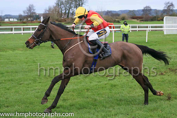 03rd Aloneamongmillions and Mr J J Codd ( 1 , red and black hlvds ) Trainer - S Curling , Owner - Tessa Foreman