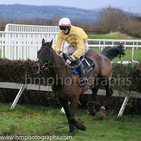 08th Walk To Freedom and Mr N J Redmond ( 7 , yellow, white cap ) Trainer - Mrs J Harrington , Owner - Whole of the Moone Syndicate