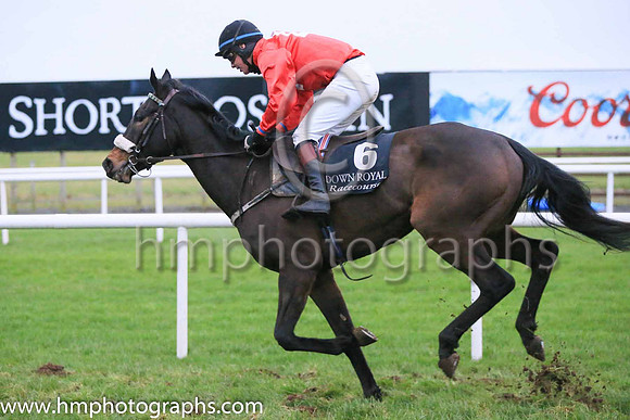 06th Kavanaghs Cross and Mr J L Scallan ( 6 , red, white hollow panel ) Trainer - Sean Doyle , Owner - F Kavanagh