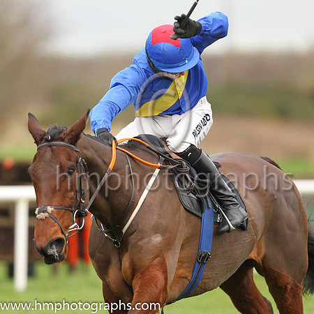 01st You Say Nothing and C P McNamara ( 8 , blue, yelllow sash ) Trainer - G P Cromwell , Owner - Hard To Know Syndicate