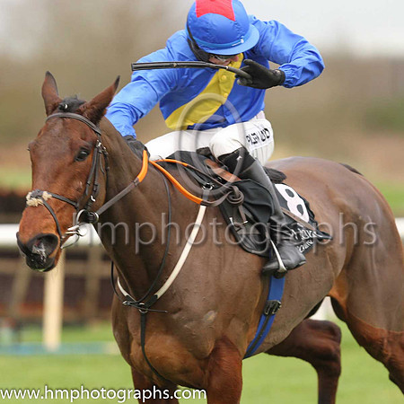 01st You Say Nothing and C P McNamara ( 8 , blue, yelllow sash ) Trainer - G P Cromwell , Owner - Hard To Know Syndicate