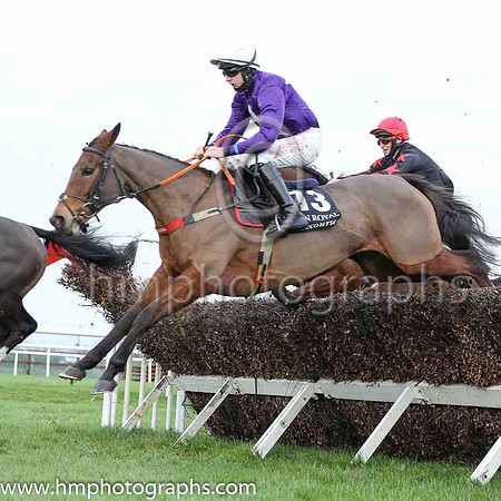 08th Trickey Trix and C D Maxwell ( 13 , purple, white star ) Trainer - D A McLoughlin , Owner - Patrick J Macken