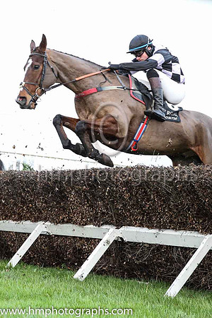 pu Monstrosity and D J Hand ( 6 , purple and black diamonds ) Trainer - D A McLoughlin , Owner - Michael Joseph Doyle