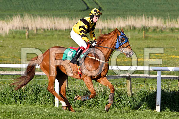 Galway Legend , 9th, Jockey - P F Mangan - FT8E3071-e