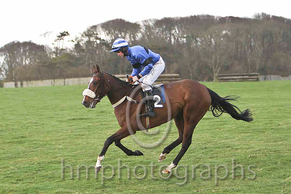 Viewvic & J J Smith - Fell (2, royal blue, black hoop) - FT8E9448-e