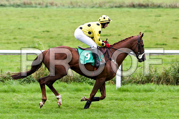 Moscows Storm , Jockey D J Casey - 3rd - CU2D2350-e