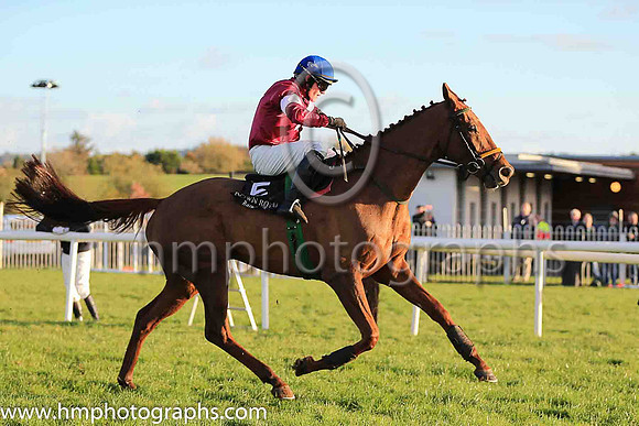 06th Net D'ecosse and Paul Townend ( 5 , maroon, white star, blue cap) Trainer - N Meade , Owner - Gigginstown House Stud