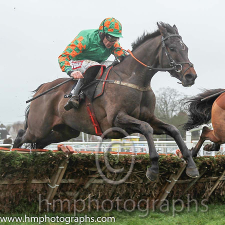 01 Gold Not Silver & D N Russell - winners (8, emerald green) - CU2D0680-1