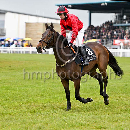 Rising TIme (8, red, black triple diamond) & M N Doran - 3rd - FT8E2823-e