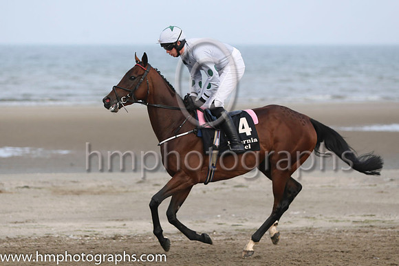 2 smoker and Mr S Clements - - 2nd (4 ,grey, dark green spotson sleeves ) Trainer - P J Prendergast