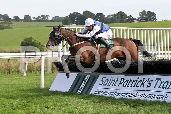Sher Fountin, 13th Jockey M J Ferris - FT8E3127-e