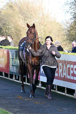 Equation - PU, Jockey A P Crowe - FT8E7167-e2
