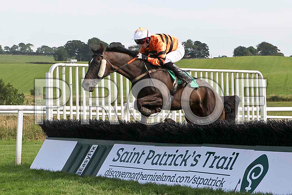 Mr Anderson 10th, Jockey S G McDermott- FT8E3125-e