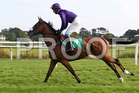 Lord Friday 4th, Jockey Mr M Fahey - FT8E3165-e