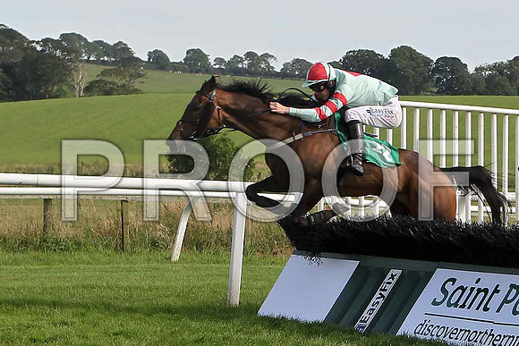 Uncommitted - winner, Jockey Andrew J McNamara - FT8E3115-e