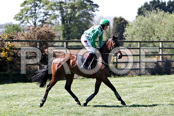 Buttonhole Rose 15th, Jockey S W Flanagan - FT8E2116-e