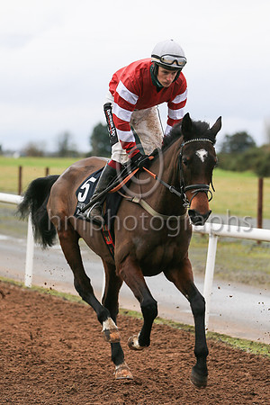 01st La Chanteuse and J J Slevin ( 5 , red, red  and white hooped sleeves ) Trainer - S R B Crawford , Owner - Mrs Edith Crawford