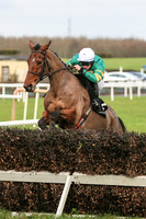 2020-02-04th-Down Royal (hr) (8/23)