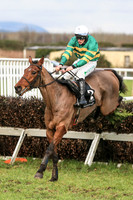 2020-02-04th-Down Royal (hr) (8/23)