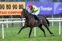 2020-02-04th-Down Royal (hr) (8/23)