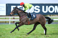 2020-02-04th-Down Royal (hr) (8/23)