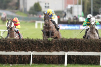 2020-02-04th-Down Royal (hr) (8/23)