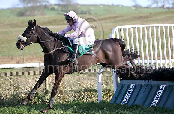 Pink Goddess (11) & K Whelan - 2nd - FT8E9844-e
