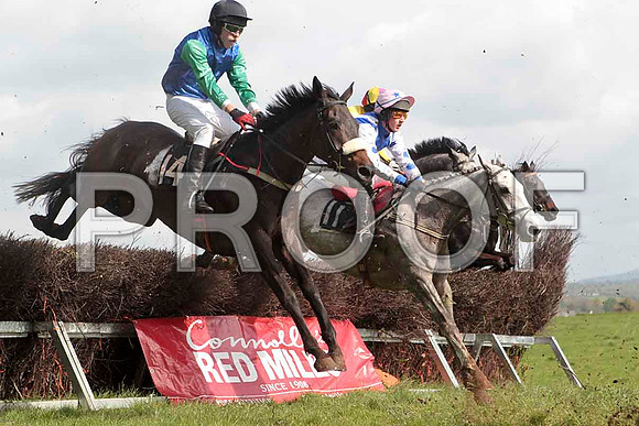 Needleinahaystack , 6th, Jockey - M Watson -CU2D4620-e