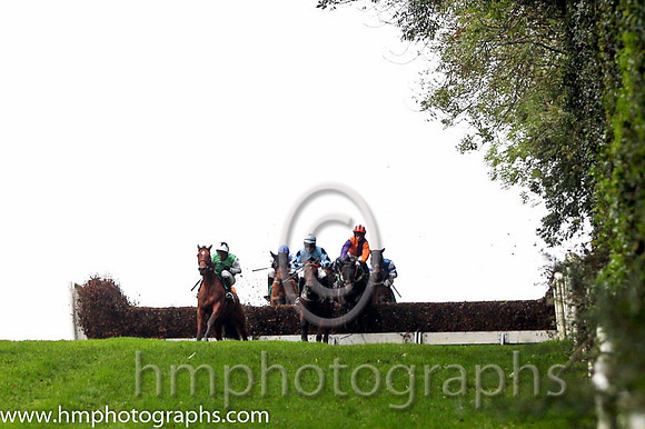 06 Icelip and J l Cullen - - 06th (3 ,Light green, white sleeves ) Trainer - D M O'Brien  03 Darwins Theory and G N Fox - - 03rd (1 ,Light blue, dark blue diamond ) Trainer - J Queally