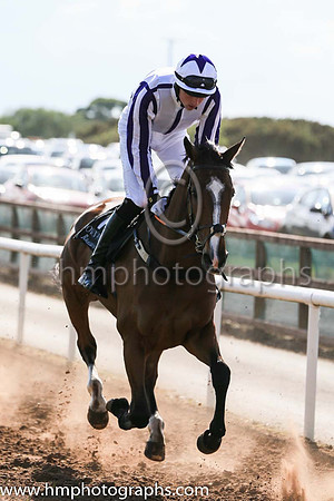 Fell Haddock De Grissay (FR) and B. Dunleavy(7) (7 ,white, purple stripe ), Trainer:Mary Ellen Doyle , Owner:James W Doyle
