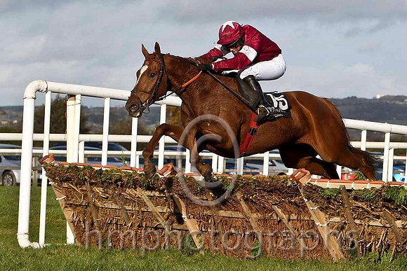 Beef To The Heels & Miss J M Mangan - winner (15,maroon, white star ) - FT8E7980-e2b