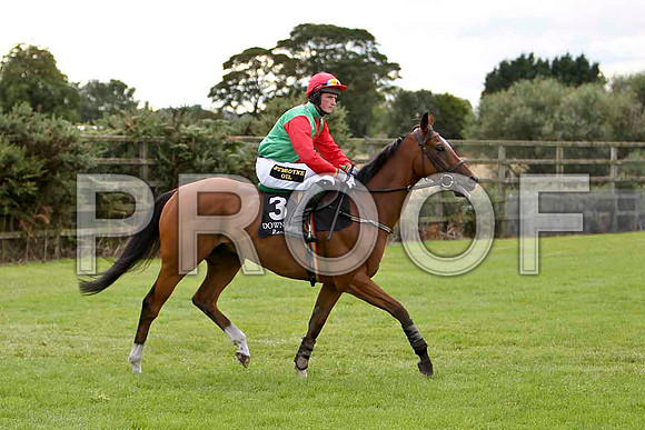 Striking Force , Jockey K H Clarke - CU2D1989-e