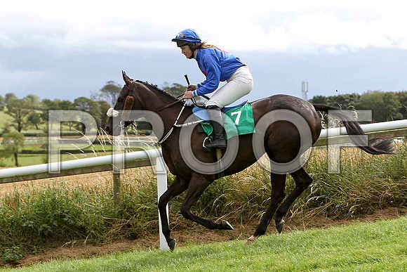 Lea Lady - 6th, Jockey Miss C L Fahey   - FT8E3868-e2