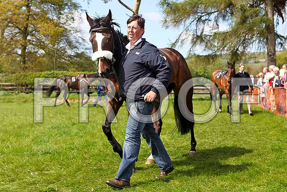 Mourne Paddy - Unplaced -CU2D4536-e
