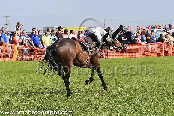 TULLYORIOR and R A Devine ( 10 , PURPLE; white sleeves; red cap,white star ) Trainer: Catherine Barry , Owner : Catherine Barry