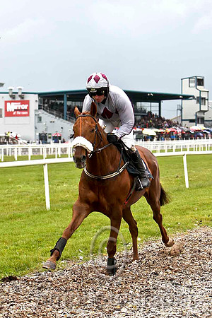 What an Article & T P Treacy (grey, maroon triple diamond) 11thFT8E2874-e