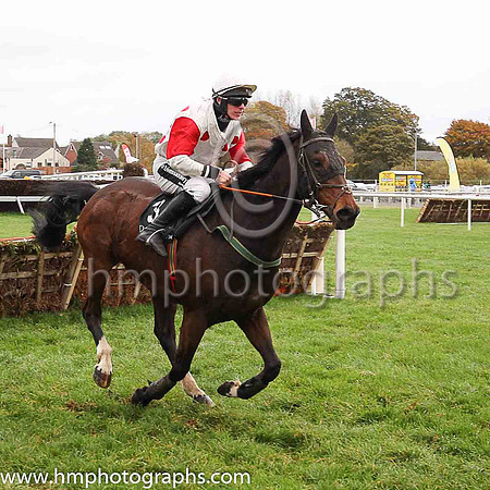 08th Macs Bach and P T Enright ( 3 , white, red spots ) Trainer - Ms M Flynn , Owner - Santry Power Walsh Syndicate
