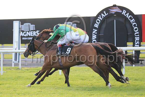 01st Guanabara Bay  Declan McDonogh (3, yellow, emerald green star) Trainer Adrian McGuinness, Owner Sean F Gallagher