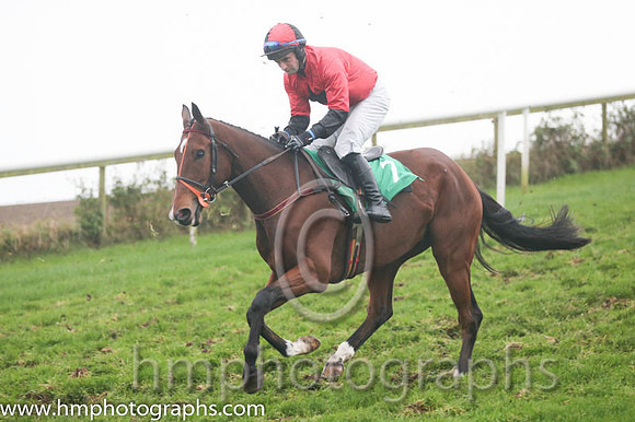 04 Ange D'Or Javilex and Mr R J Kiely - - 04th (7 ,Red, black star ) Trainer - P Fenton