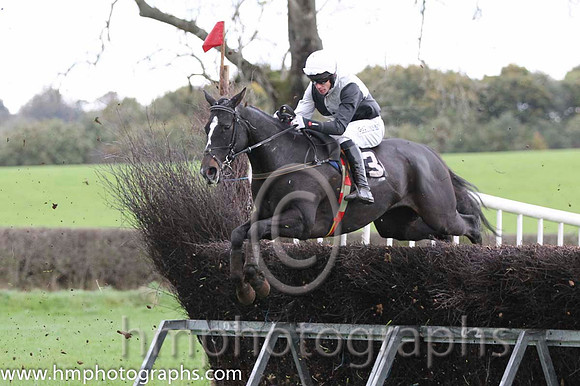 10 Ballycamp & Derek O'Connor - PU (3, black and white qtrd) - FT8E9383-37