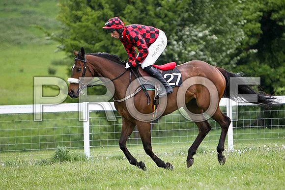 Young Jim , Winner, Jockey J J Codd - FT8E2379-e