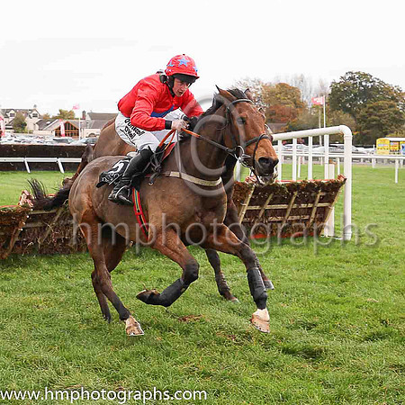 06th Rock On Westie and R Loughran ( 5 , red, blue star ) Trainer - Miss S Barkley , Owner - Paul Hobson