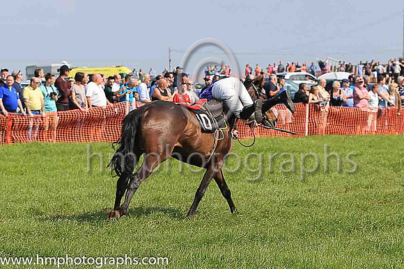 TULLYORIOR and R A Devine ( 10 , PURPLE; white sleeves; red cap,white star ) Trainer: Catherine Barry , Owner : Catherine Barry