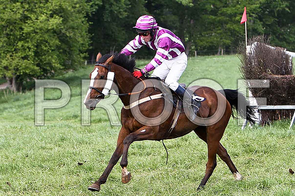 Fifth Race Div 1 - Fifth Race Div 1 - Phoenix AZ (36) 5th, Rider N McParlan- CU2D9668-e