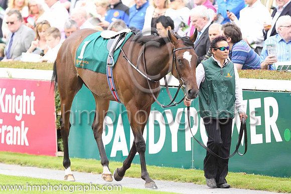 07 Ask Me Nicely and Anastasia O'Brien - - 07th (1 ,dark Blue ) Trainer - A P O'Brien