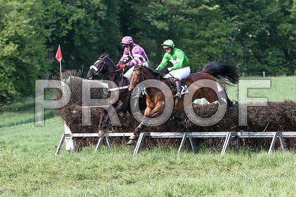 Race 6 Div 2 - Kirkello (16)  PU, Rider  N McParlan & Pay As You Go (24) PU, Rider M J Henry - CU2D9802-e